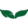 Setterington's Leaf icon