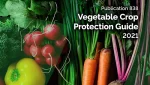 Vegetable crop guide