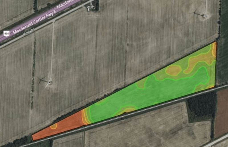 Setterington's employee with tablet working at crop field 