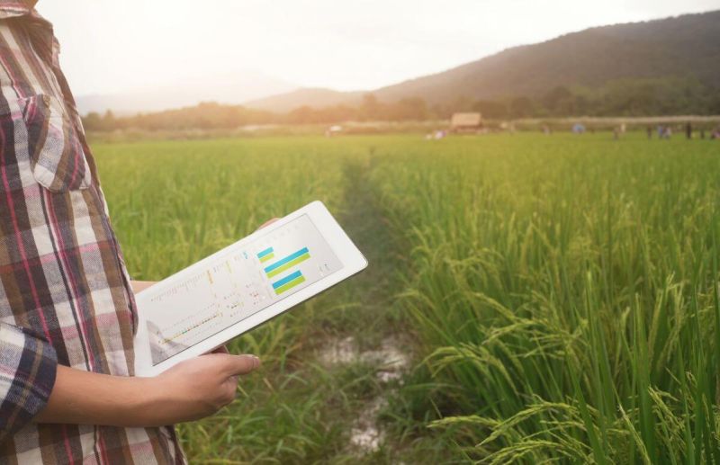 Yield Analysis agronomist with tablet in the field Setterington's