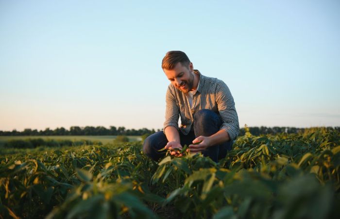 Agronomist working in the field Setterington's 
